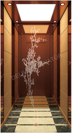 Small Home Elevator