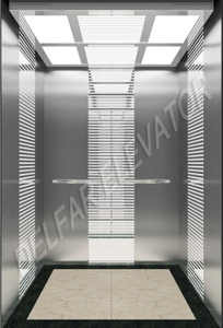 Mirror Etched Passenger Elevator