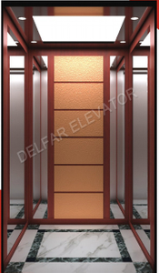 Delfar Decorated Home Elevator
